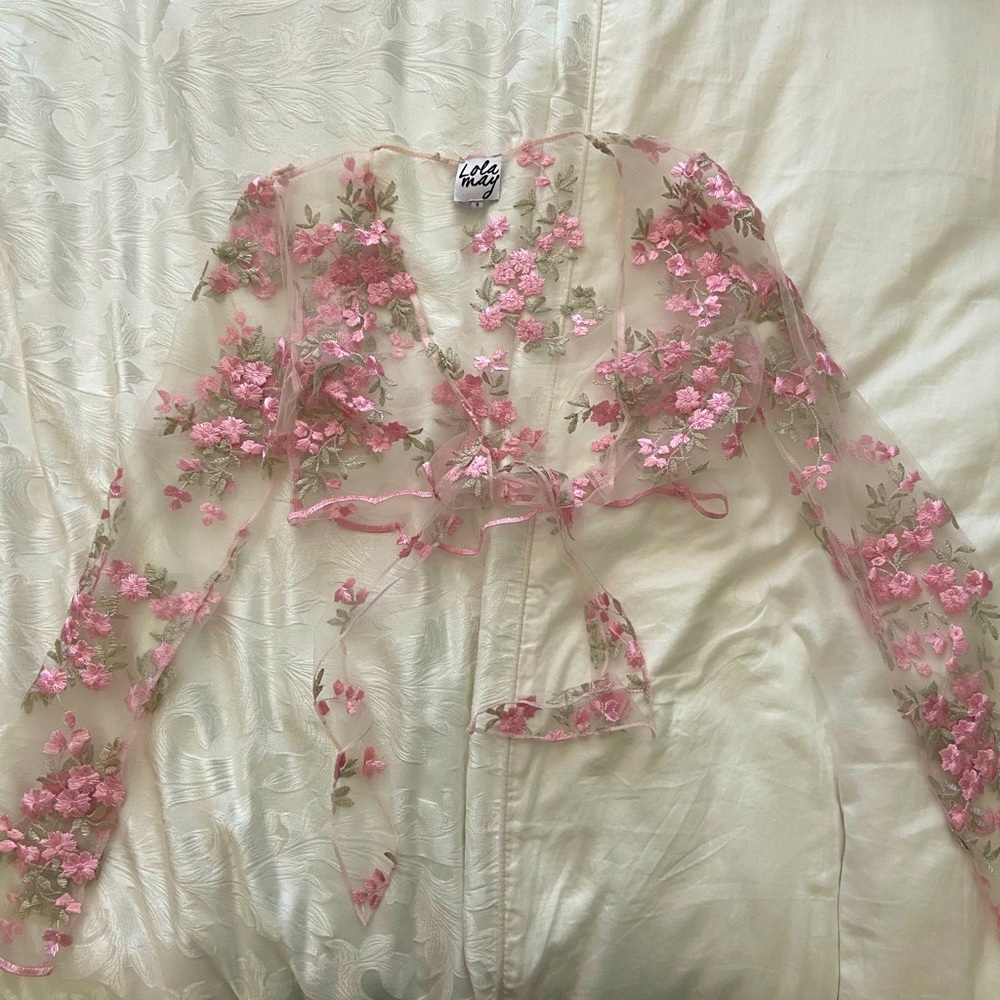 Nasty Gal long sleeved sheer crop top